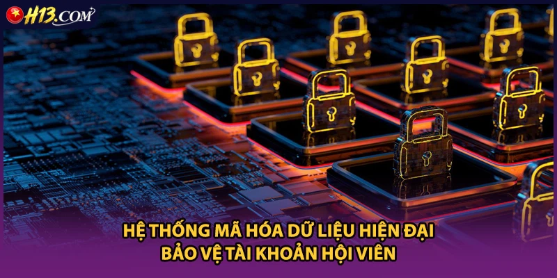 Hệ thống mã hóa dữ liệu hiện đại bảo vệ tài khoản hội viên