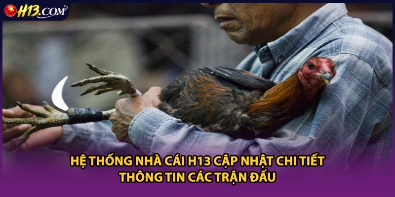 Hệ thống nhà cái H13 cập nhật chi tiết thông tin các trận đấu